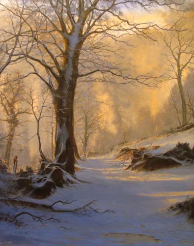 Morning Glow